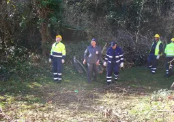 L'accesso alla casa ricevuta in eredità era ingombro di arbusti